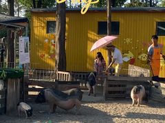 -前小桔亲子创意农场·草莓采摘·露营烧烤