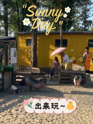 -前小桔亲子创意农场·草莓采摘·露营烧烤