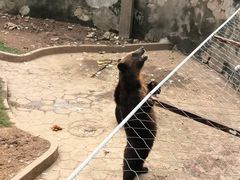 -无锡动物园·太湖欢乐园