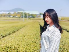 -雪绿茶博物馆