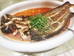 清蒸巴沙鱼-御和宴·精品粤菜(天润御海湾店)