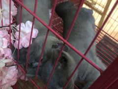 -第三空间·趣味桌游·轰趴.室内CS.剧本杀(大武汉1911店)