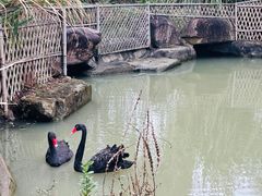 -径山花海