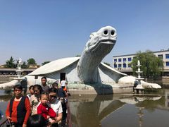 -东方巨龟苑景区