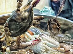 -富临港·蒸汽海鲜·手抓海鲜·炒菜(栈桥店)