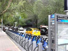 -约翰·菲茨杰拉德·肯尼迪国际机场