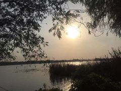 -太阳岛度假酒店