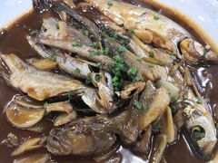 -扬州菜在上海(场北广场店)