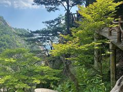 -罗田天堂寨风景区