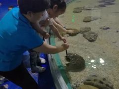 -重庆欢乐海底世界