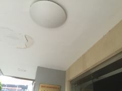 -上海昆虫博物馆