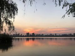 -艾溪湖湿地公园