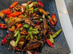 -蘑统田下·野生菌火锅