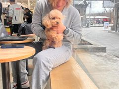 -VOYAGE COFFEE 咖啡烘焙工坊店(798艺术区店)