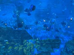 -横店影视城梦幻谷园区