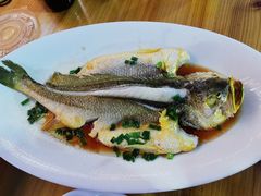 -舌尖上·霞浦滩涂海鲜·新闽菜(总店)