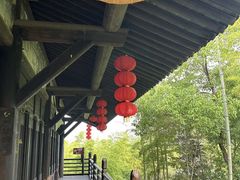 -大唐贡茶院