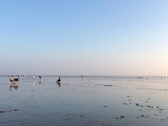 -南汇嘴观海公园