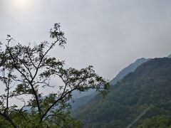 -泰山风景名胜区