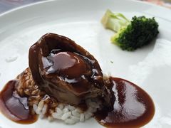 -上海雅居乐万豪侯爵酒店