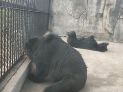 -南昌动物园