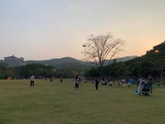 -大屏嶂森林公园