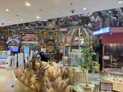 -卡通尼·Safari非洲探索乐园·生日会(金桥国际商业广场店)