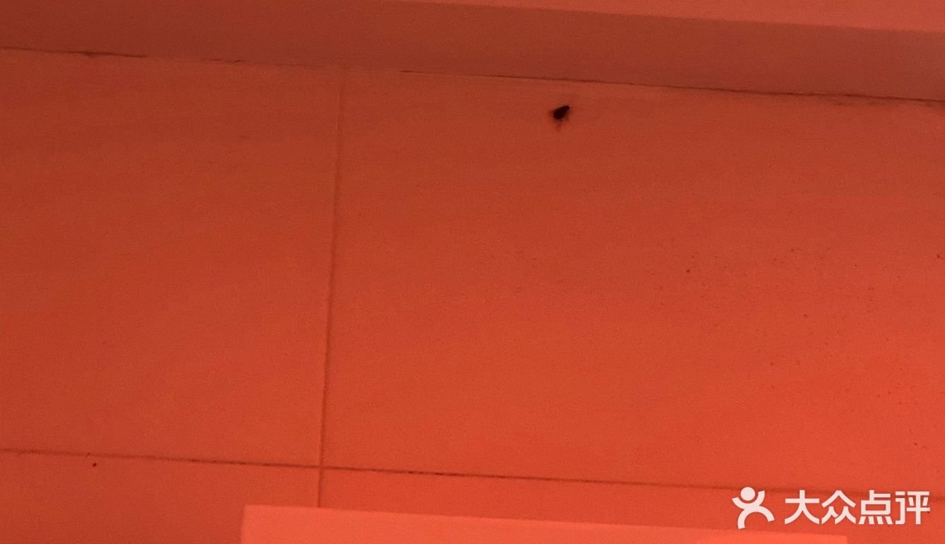 无法在深圳生存下去的两大原因