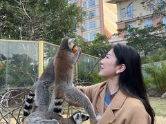 -灵玲国际马戏城