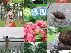 -万绿园