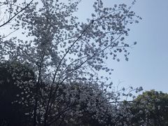 -石峰公园