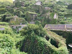 -枸杞岛