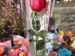 -宝鸡东道花鸟鱼虫市场(吉利花园商场店)