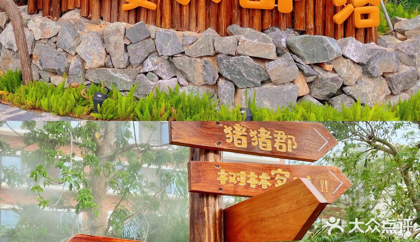 珠海海泉湾小矮人部落，梦想中的童话世界🏕