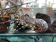 -寻味顺德·南记酒家·传统顺德菜·鱼生(广源路店)