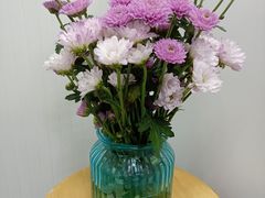 -双季花艺园艺市场(浦东店)