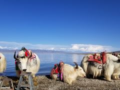 -青海湖国家重点风景名胜区