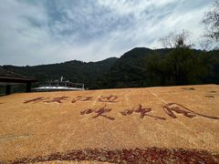 -新安江山水画廊风景区