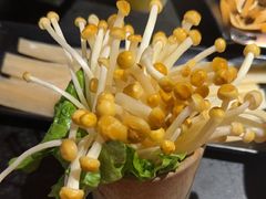 -吼堂老火锅(太古里总店)