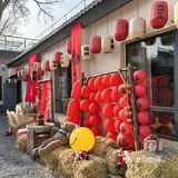 📌梧桐树下的咖啡☕｜不光香还超级浪漫