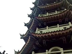 -黄椅山火山森林公园