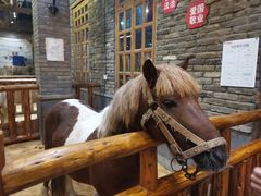 -巴倒烫陆派火锅山庄(南山总店)