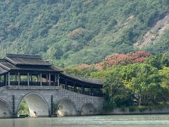-长广溪湿地公园