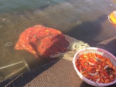 -海河游船-永乐码头(大悲院)
