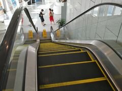 -中国港口博物馆