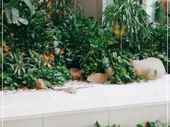 -上海新锦江大酒店