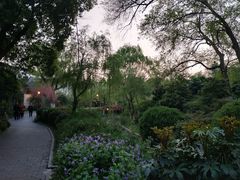 -荆川公园