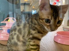 -Me Coffee下午茶艺术空间