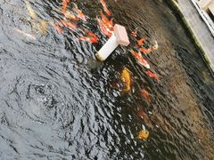 -顺德了能馆(虎门店)