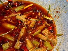 -馋嘴猫北京食堂·烤鸭·宵夜(亚运村店)